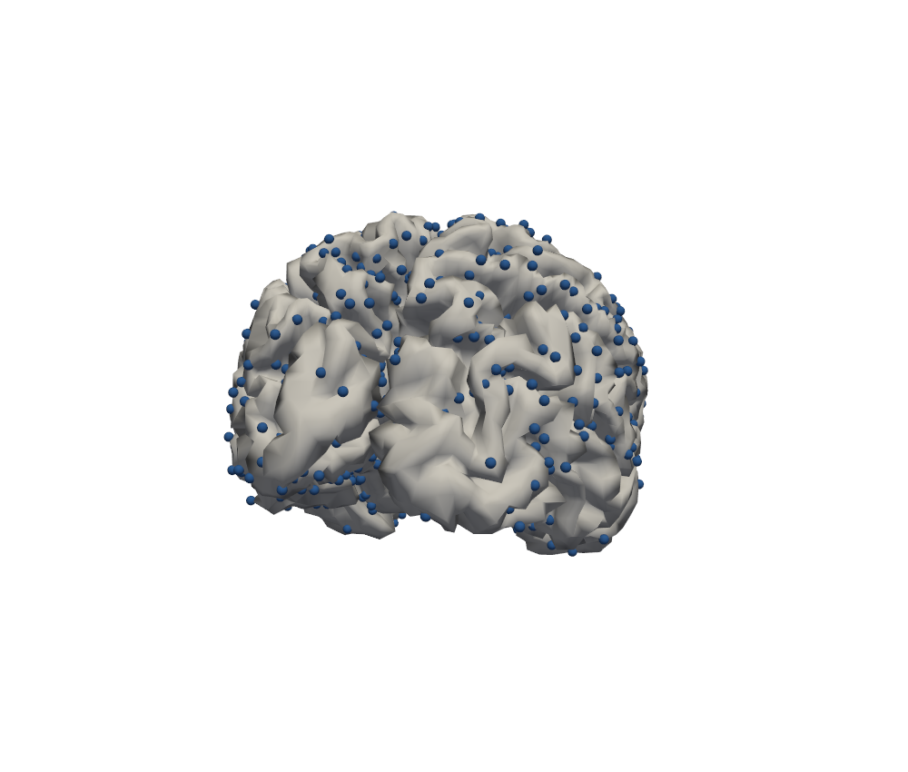 Source space: points (blue) spread over the cortical surface (one in seven shown).
